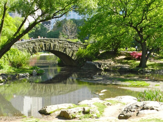 Neighborhood - 485 Central Park W