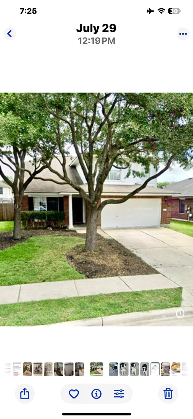 El patio había sido habitado con sistema de riego. - 3809 Willie Mays Ln