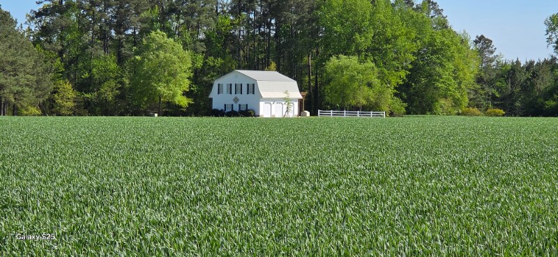 Foto principal - 345 Byrds Pond Rd