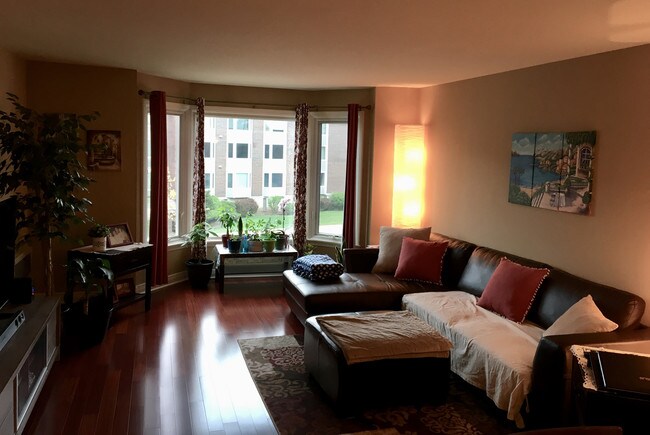living - 401 Ascot Dr