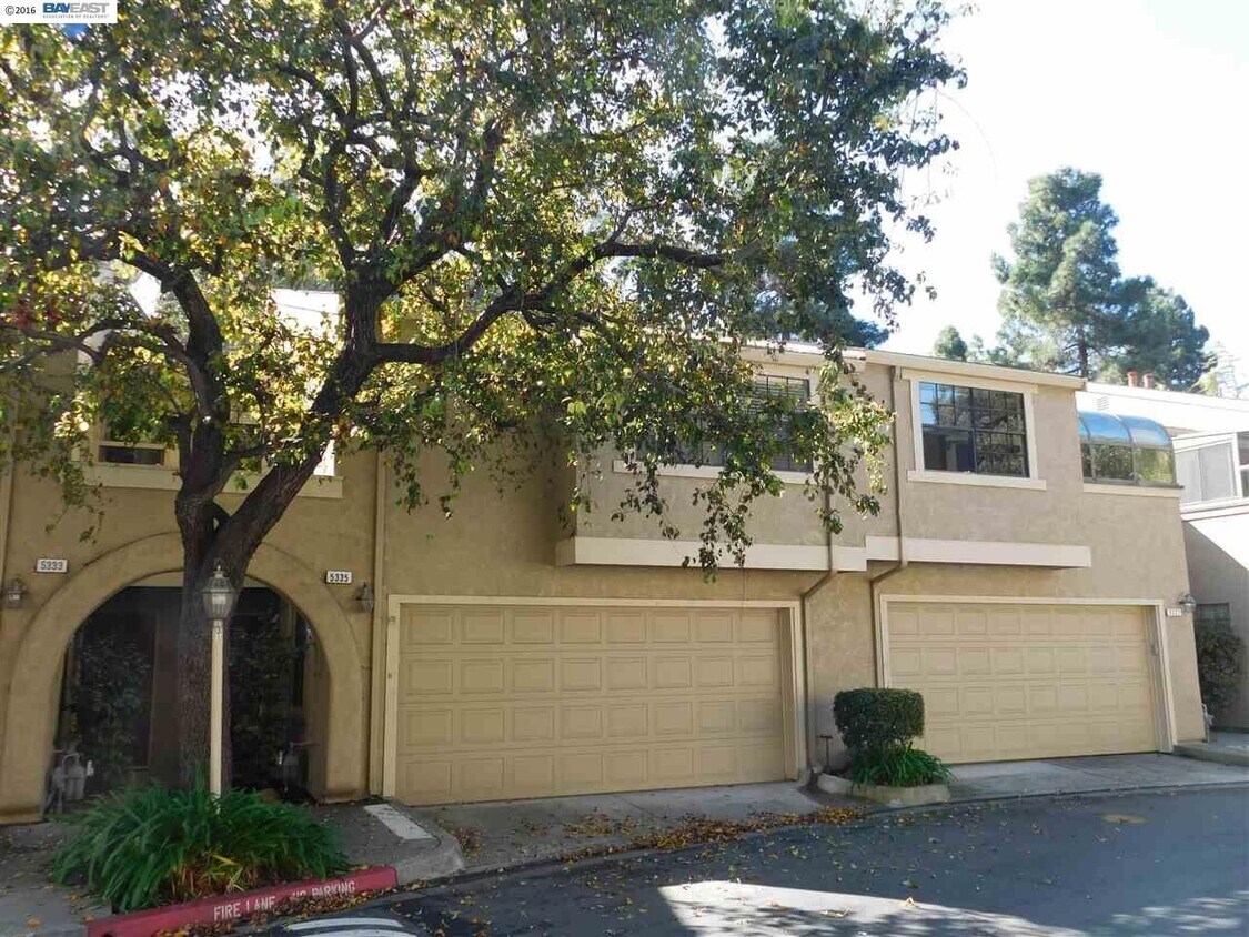 Primary Photo - 5335 Port Sailwood Dr