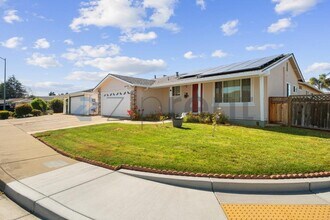 Building Photo - 3019 Paine Ct
