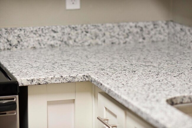 Cocina con encimeras de granito. - Grove at Five Points