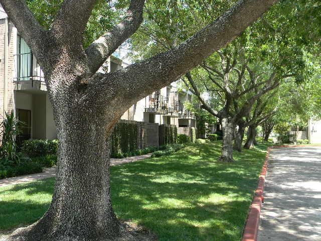 Entry Drive Way - 10811 Richmond Ave