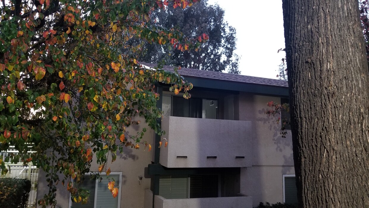 Primary Photo - 10636 Woodley Ave