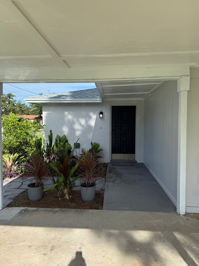 Building Photo - South Tampa Home