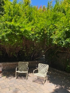 Back Yard - 1945 Benecia Ave