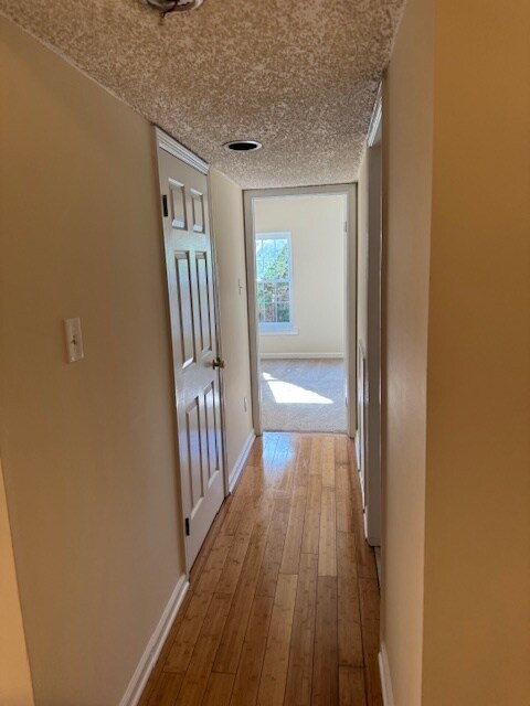 Second Bedroom Hallway - 804 Deer Run