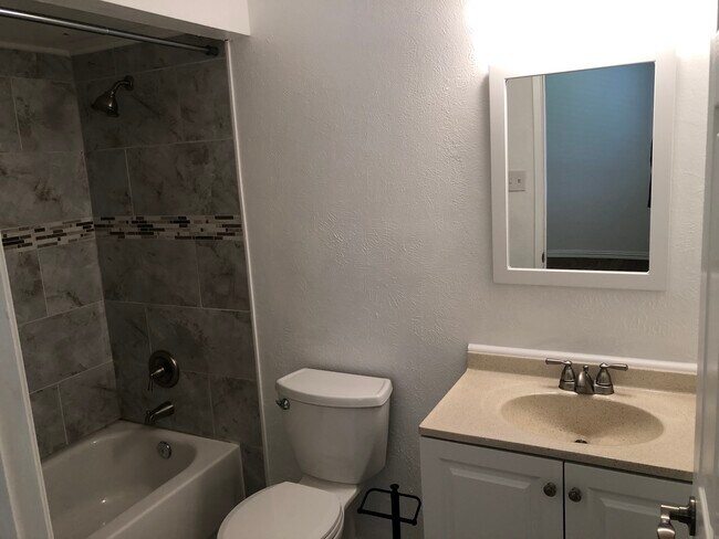 Fully updated Master bath - 745 Meadow Mead Dr