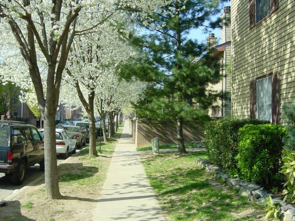 Primary Photo - 1119 N Stafford St