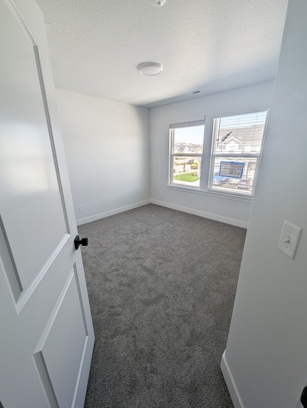 Building Photo - 3797 Big Horn Dr