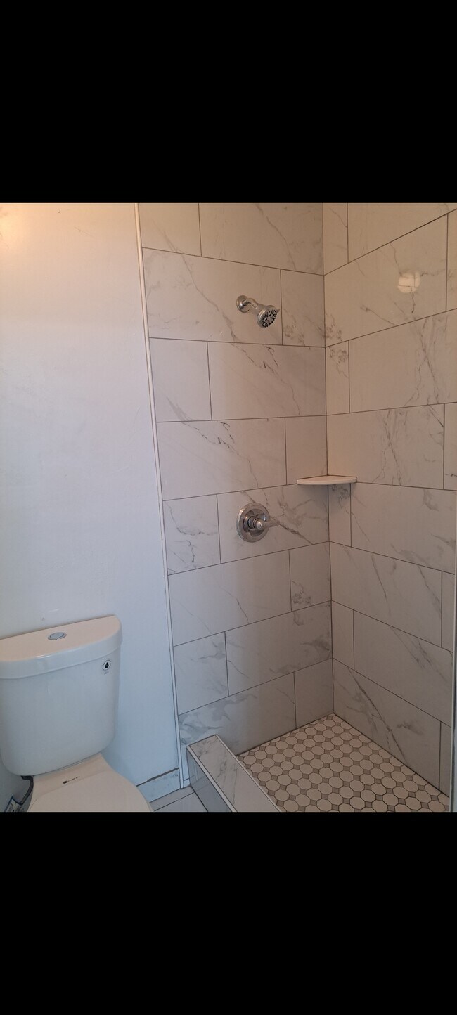Bathroom - 517 E Lodi Ave