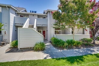 Building Photo - 537 Shadow Dance Dr