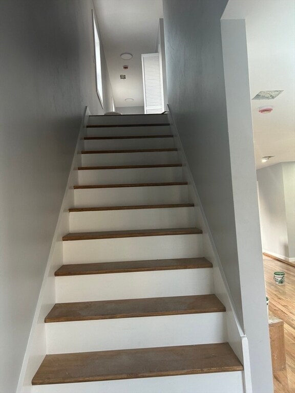 Building Photo - 67 Woodville St