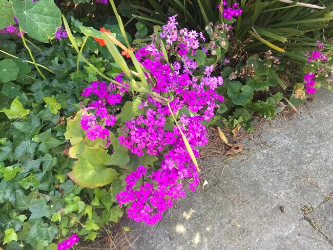 Great Landscaping - 60 Ora Way