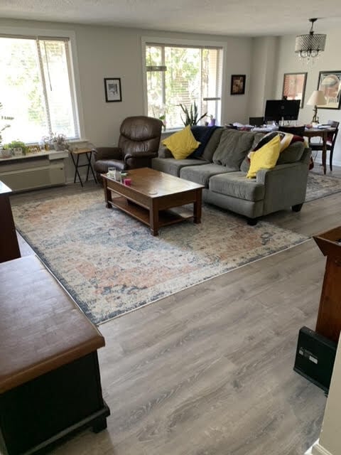 Living room - 1730 Arlington Blvd
