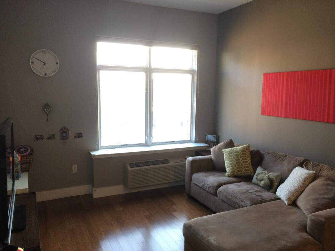 Living Room - 217 Newark Ave