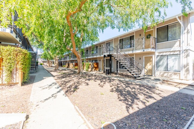 Building Photo - The Elm Tree Estates