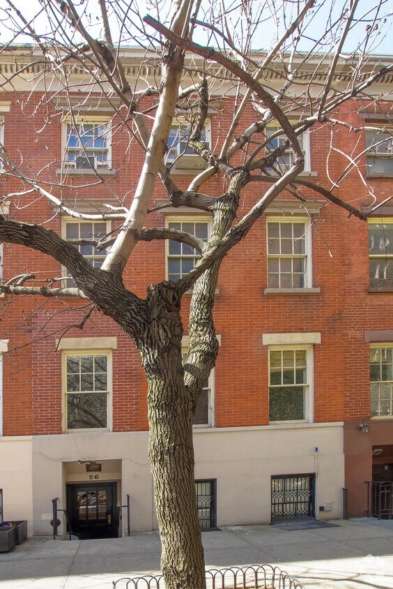 Foto del edificio - 56 W 12th St