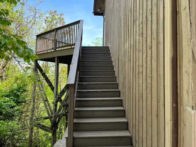 Foto del edificio - 218 Tree Top Ln