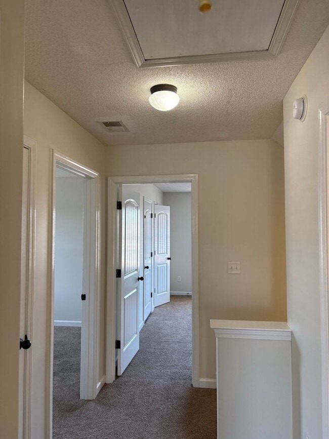 Building Photo - Spacious, Remodeled Home in Cordova