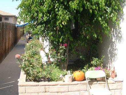 Building Photo - 1030 Western Ave