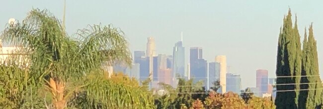 Head on view of downtown L.A. from unit - 1115 S Elm Dr
