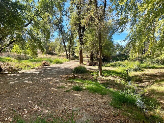 Building Photo - Stunning Renovated 2 Bedroom 2 Bathroom Farm House on 8 Acres