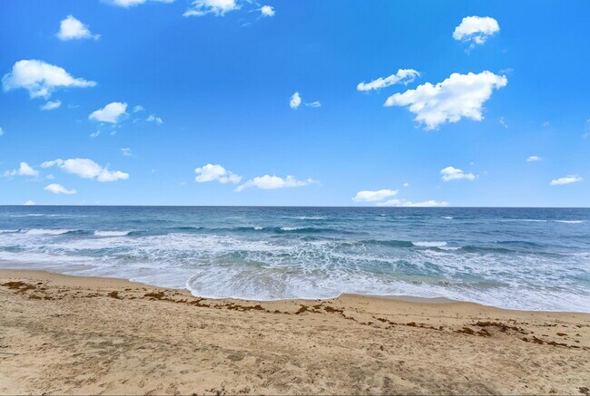 Foto del edificio - 3610 S Ocean Blvd