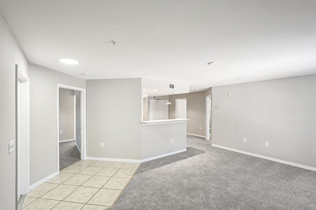Interior Photo - Coral Cove