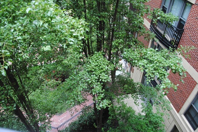 Foto del edificio - 519 Harrison Ave