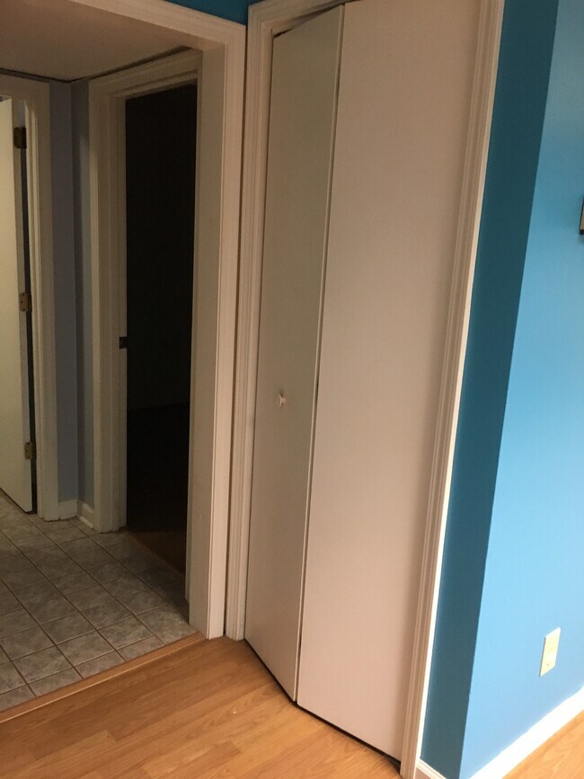 Second closet with door closed; bedroom door open to the left. - 508 Plantation Rd
