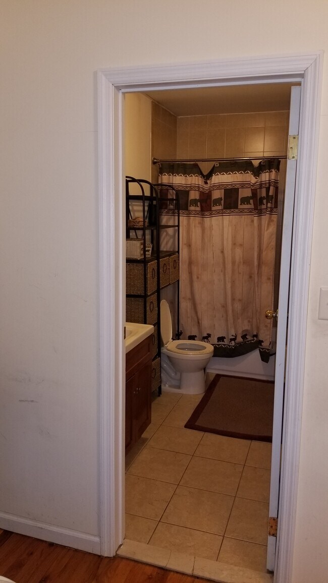 Master Bathroom - 560 Van Siclen Ave