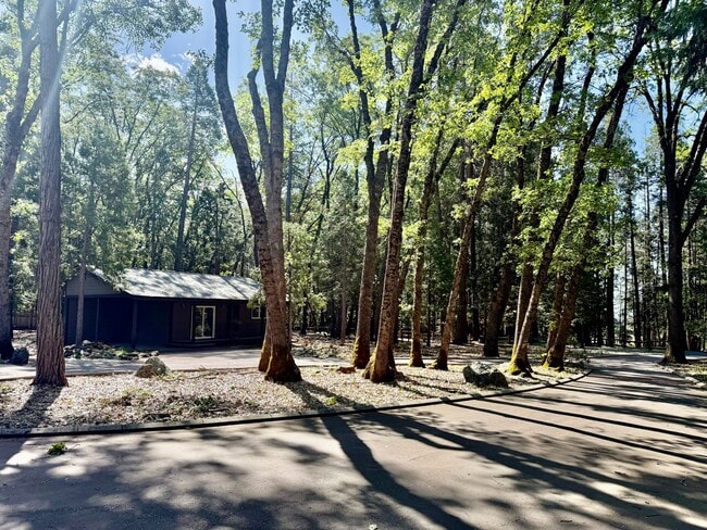 Building Photo - 13240 Loma Rica Dr