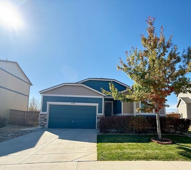 Charming Loveland 3-Bedroom Ranch with Modern Upgrades on a Large Cul-de-Sac Lot - Charming Loveland 3-Bedroom Ranch with Modern Upgrades on a Large Cul-de-Sac Lot House