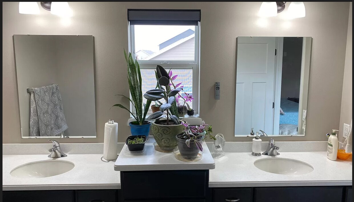 Foto principal - 610 Jagged Pine Dr