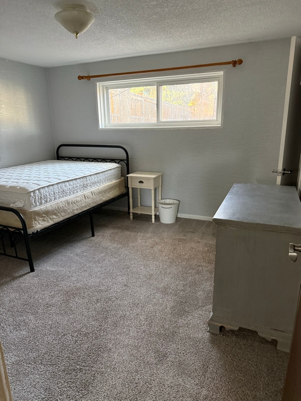 Building Photo - 3634 Alpine Pl