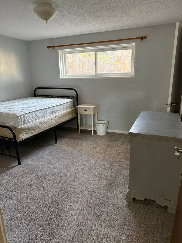 Foto del edificio - 3634 Alpine Pl