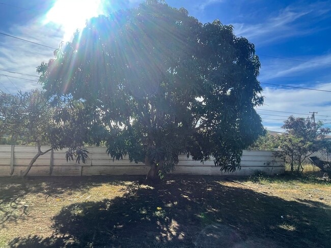 Building Photo - 2/1 duplex in Makaha | $1500.00 water included