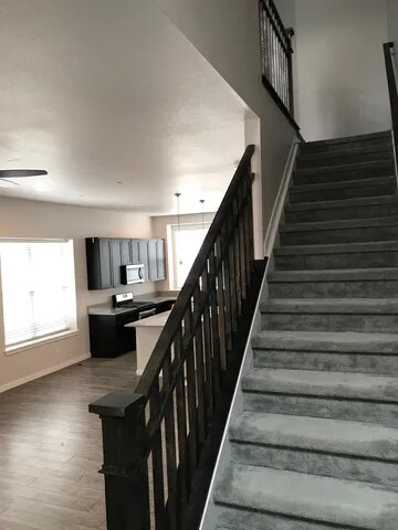 Foto del edificio - 2303 Buttercup Ct