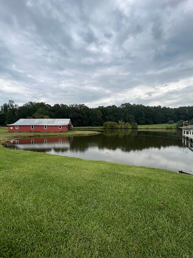 Estanque de 6 acres - 729 Highway 314