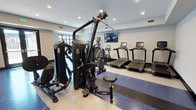 This fitness center offers a comprehensive and thoughtfully designed workout environment spread across a single open floor. The space immediately draws attention with its bold, striped blue-and-white epoxy flooring, which adds a dynamic visual element while providing a durable, easy-to-maintain surface throughout the facility.

The cardio zone is anchored by a row of Matrix treadmills and elliptical machines, each equipped with individual touchscreen displays for an engaging workout experience. A wall-mounted flat-screen TV is positioned for easy viewing from the cardio area. For strength training, the facility features multiple Hoist multi-function cable machines and a dedicated free weight area with an adjustable bench, accommodating a wide range of exercises.

Natural light filters into the space through large windows and glass-block panels, while recessed ceiling lighting ensures the interior remains bright and well-lit throughout. A set of double glass doors provides direct access to an outdoor area, enhancing ventilation and connectivity to the exterior. A built-in water fountain station is conveniently located along one wall, and a shelving rack for medicine balls and accessories adds to the functional layout. The clean, neutral-toned walls and modern finishes contribute to an organized and motivating atmosphere suited for a full range of fitness activities.