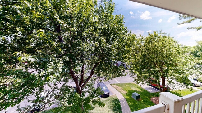 Interior Photo - Polo Park