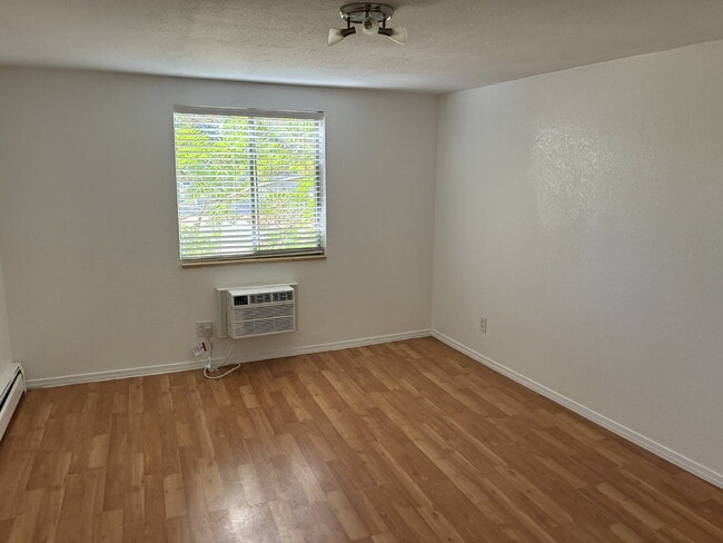 Photo - Beautiful Updated 1 Bedroom 1 Bathroom - Huge Living Room! Apartment