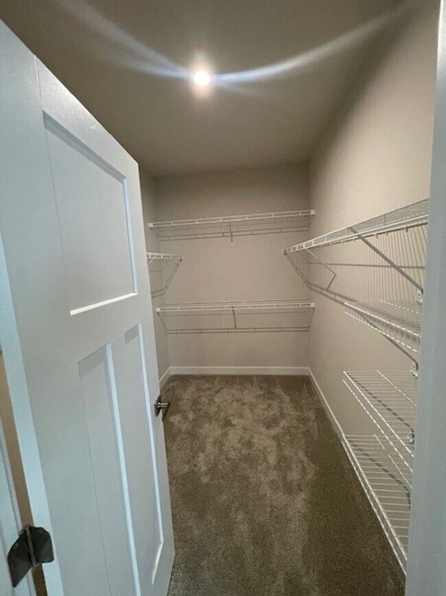Building Photo - Like New Large home in Brentwood Area