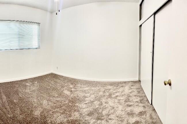 Fulll wall of storage and new carpets in bedrooms - 1234 S Westgate Ave Apartments