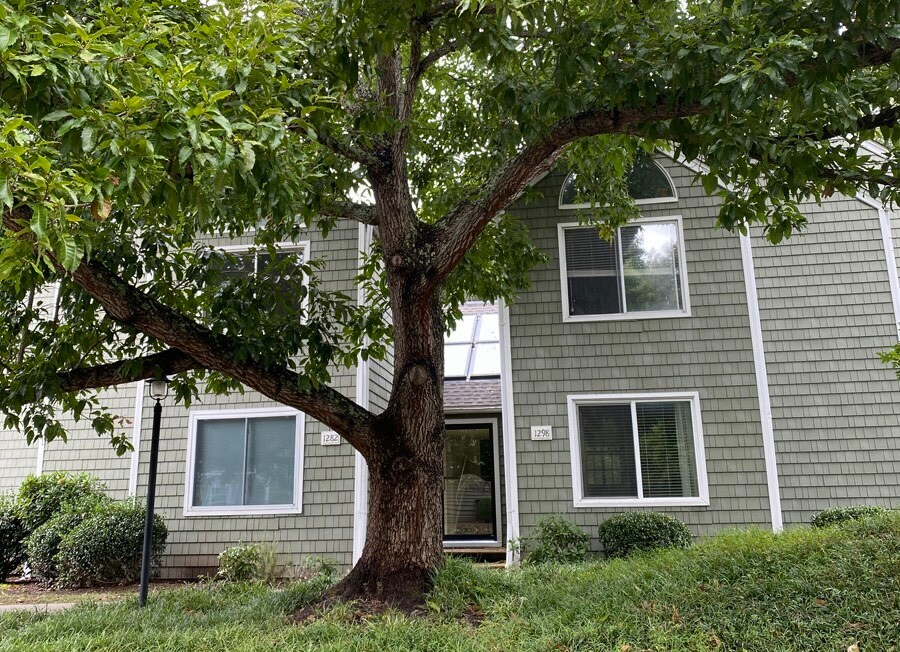 Primary Photo - 1284 Clifden Green
