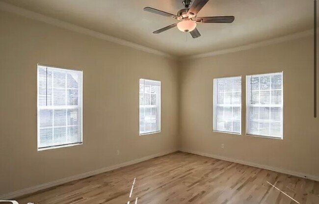 Foto del edificio - 115 Jim St