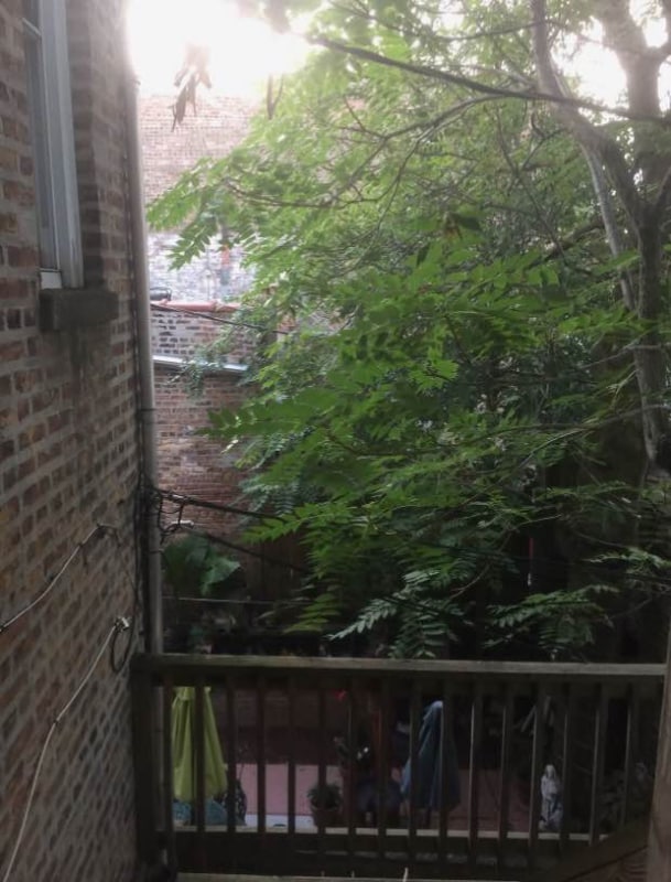 Foto del edificio - 2908 N Wisner Ave