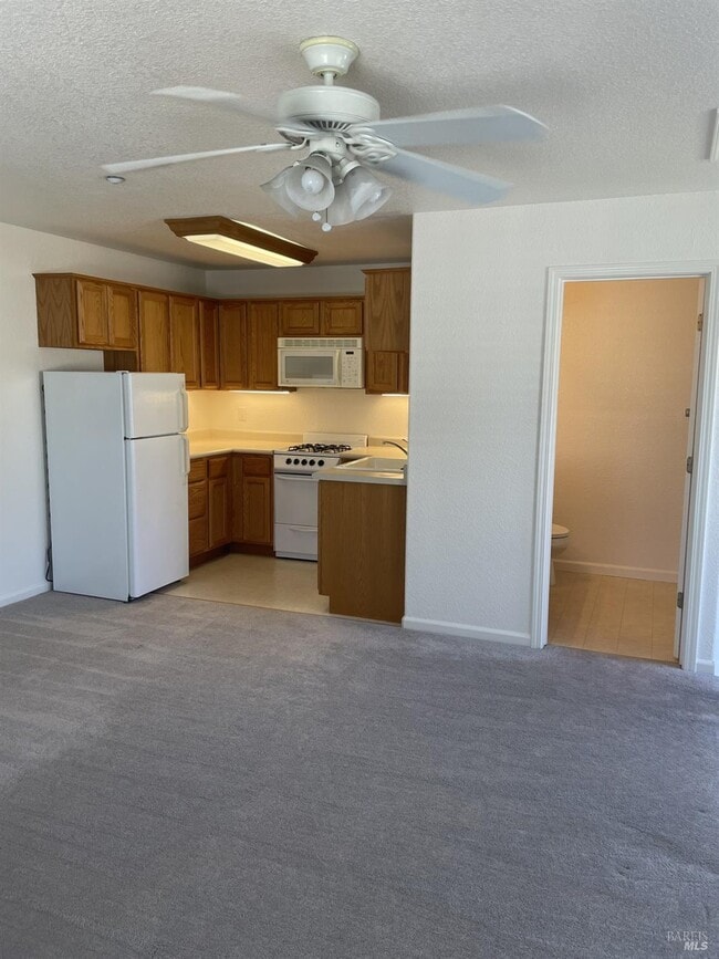 Foto del edificio - 203 Spur Ridge Ln